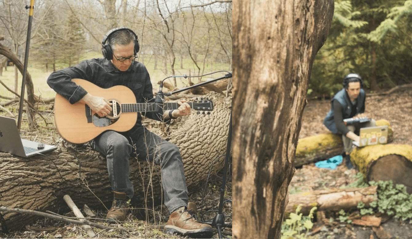 Botanica: Music Made of Nature