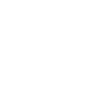 简化流程与报告